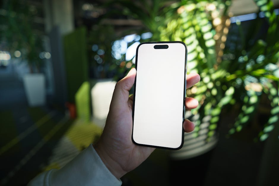 Курсы программирования и UI/UX дизайна