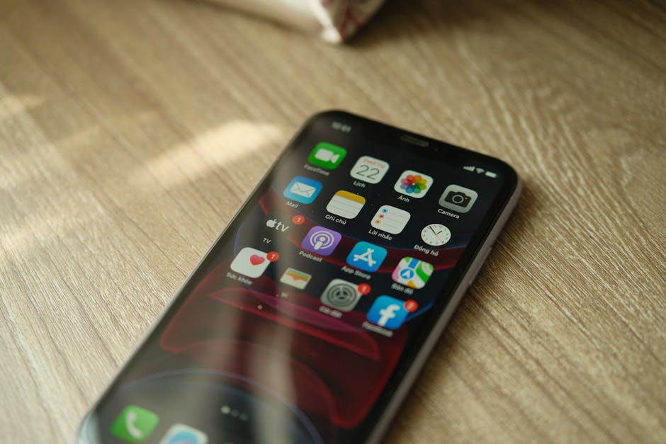 Курсы программирования и UI/UX дизайна